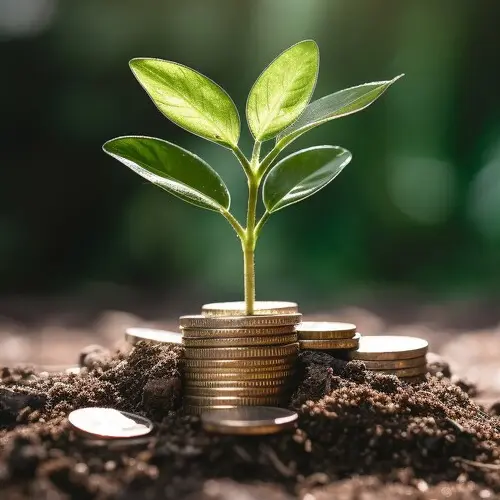 สู่ความยั่งยืน