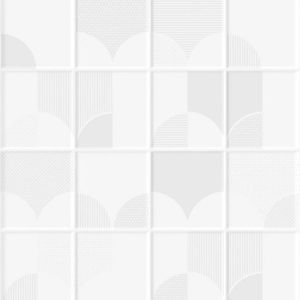 กระเบื้อง โมโนโครม ฟิลด์,25x40 (A)