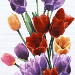 กระเบื้องเซรามิค 10"X16" เมลโล -ทิวลิป