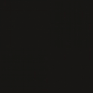 GT 24X24 โพล่า ดำ (นาโน) PM